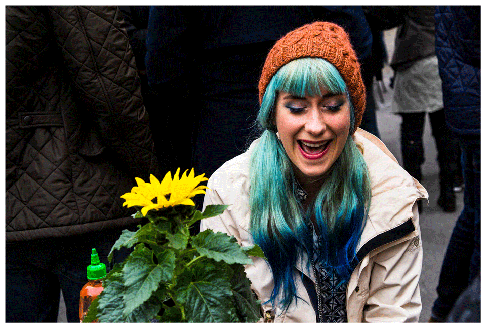 Colours of the season